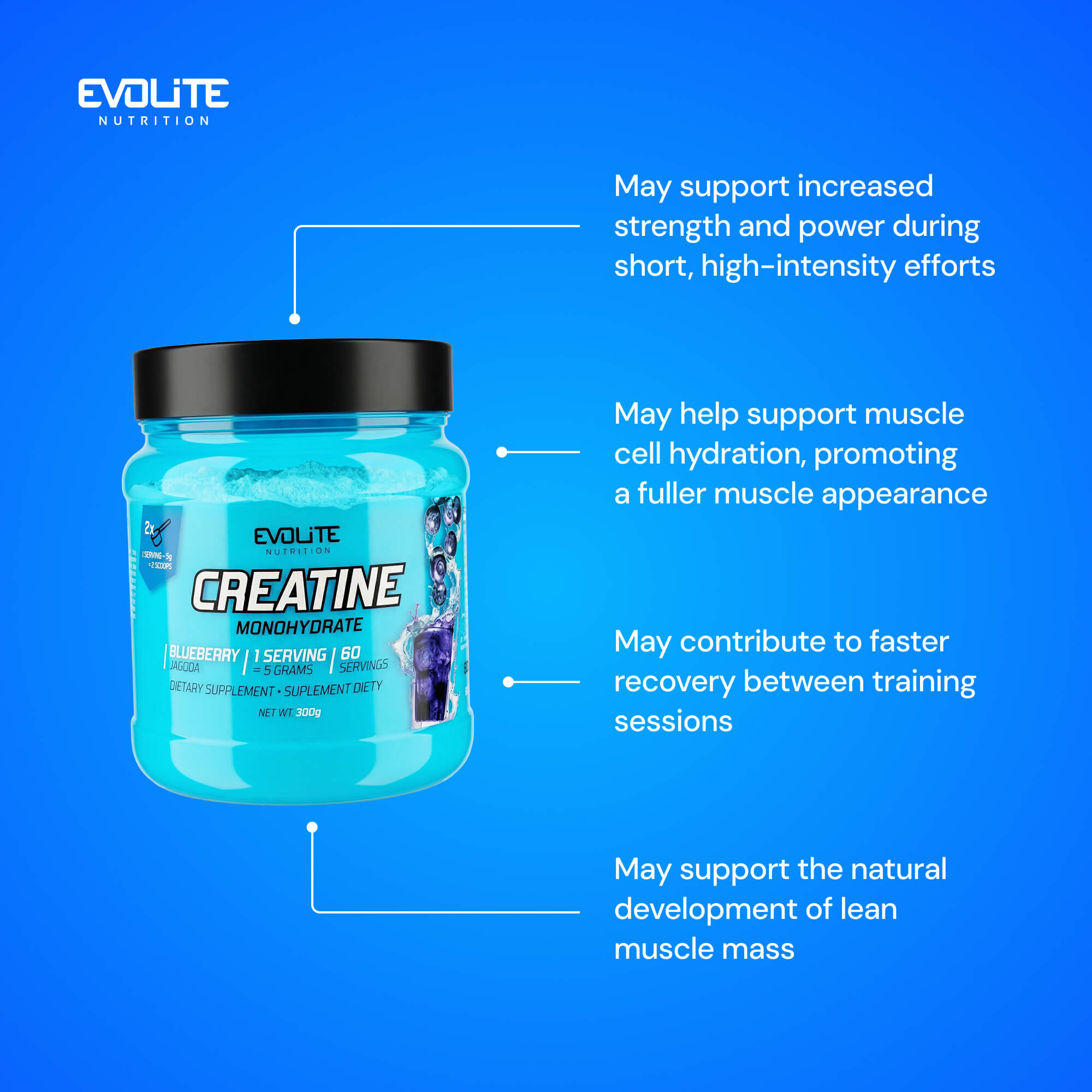 Evolite Nutrition Creatine Monohydrate 300g