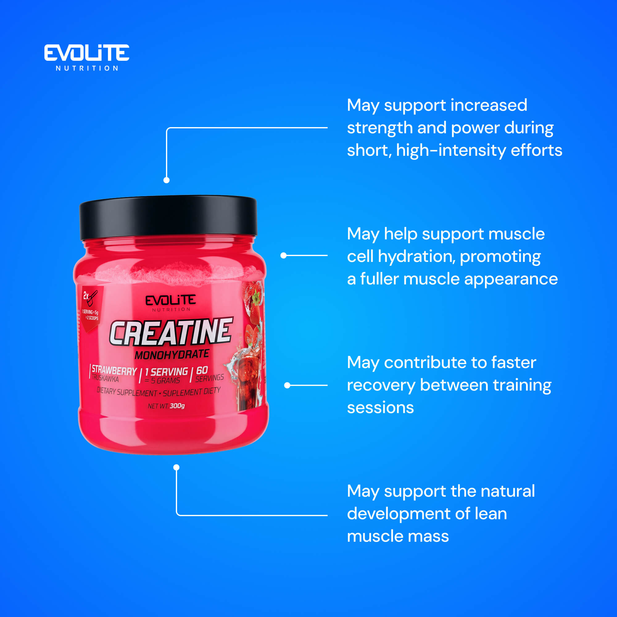 Evolite Nutrition Creatine Monohydrate 300g