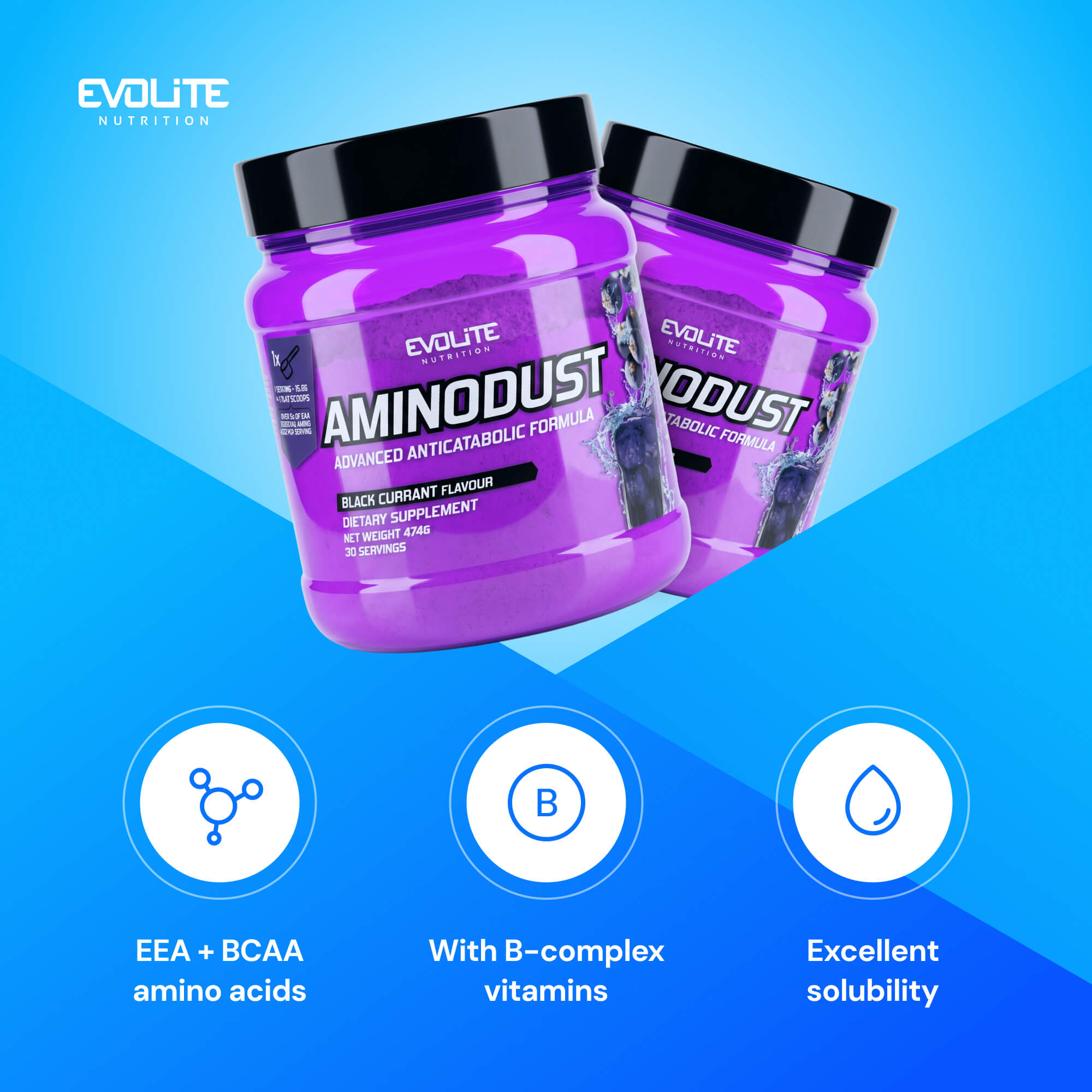 Evolite Nutrition Aminodust 474g