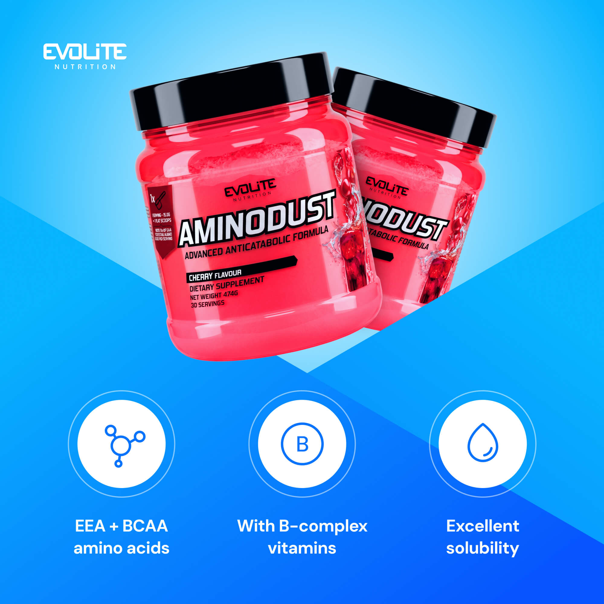 Evolite Nutrition Aminodust 474g