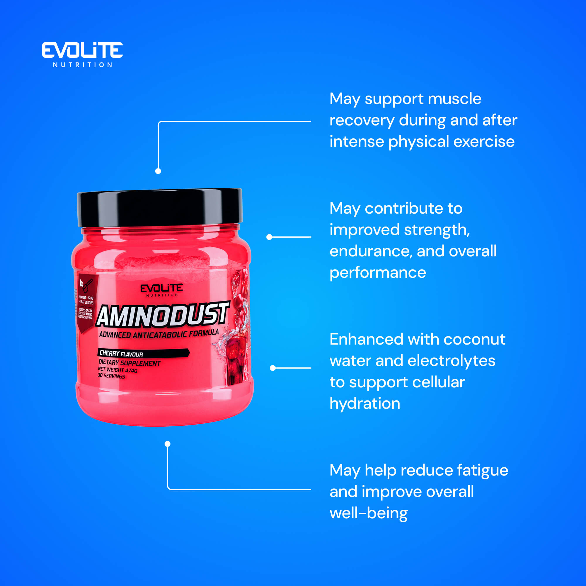 Evolite Nutrition Aminodust 474g