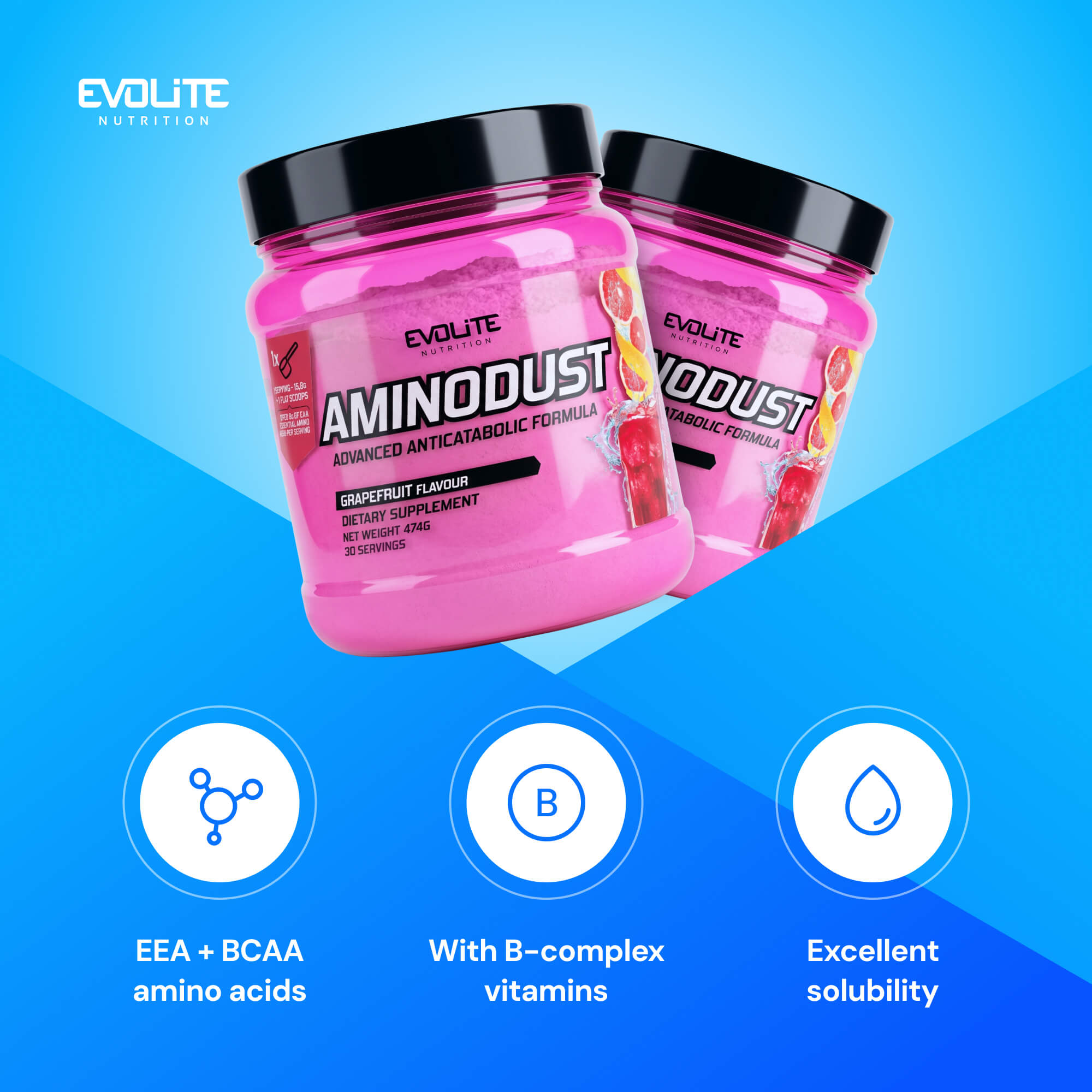 Evolite Nutrition Aminodust 474g