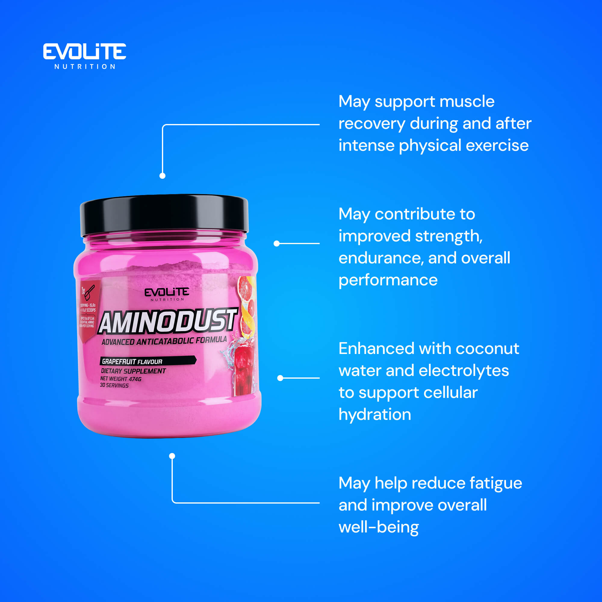 Evolite Nutrition Aminodust 474g