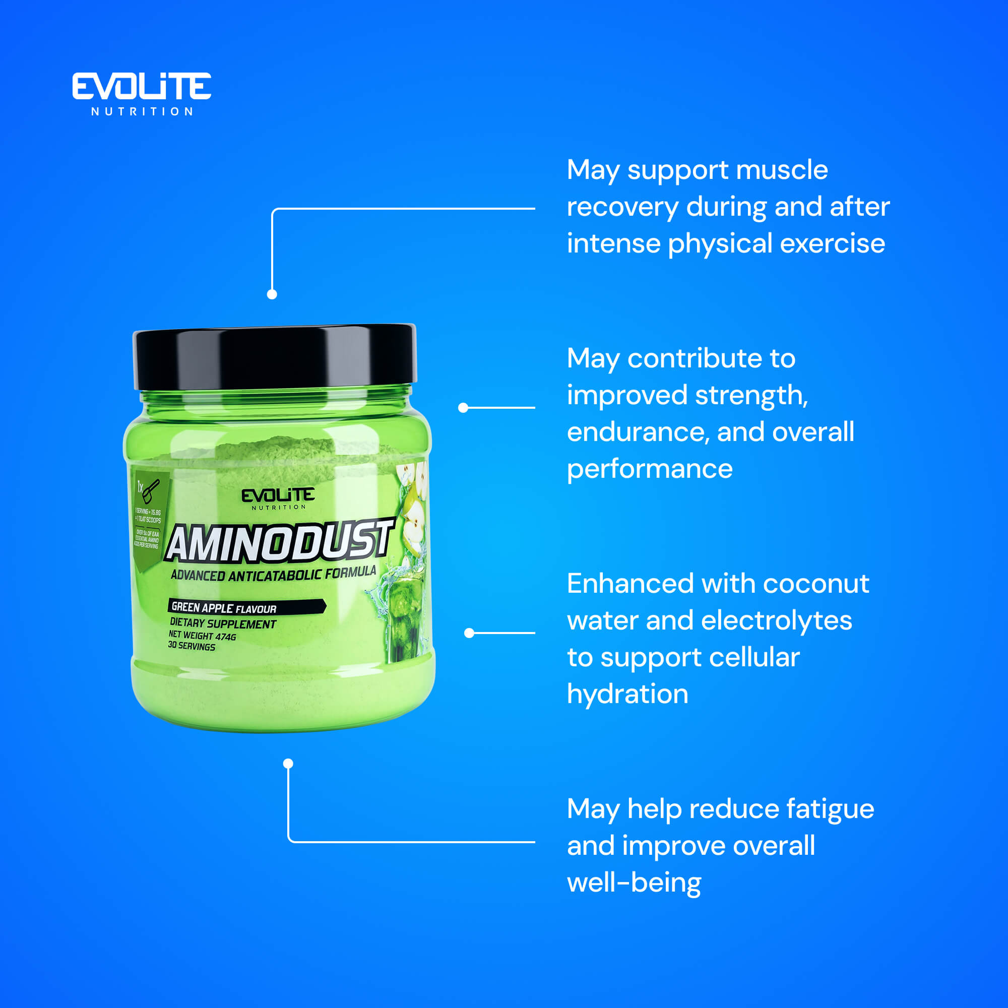 Evolite Nutrition Aminodust 474g