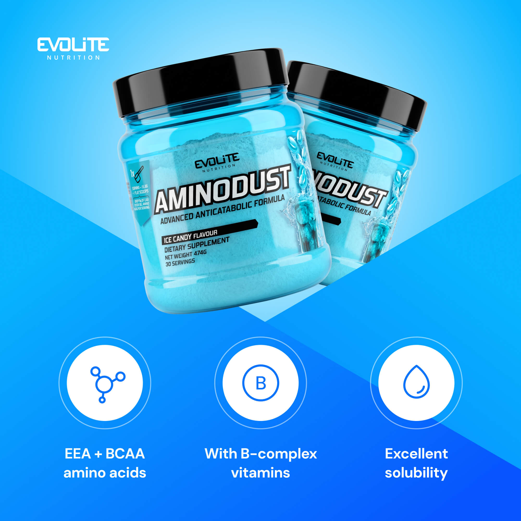 Evolite Nutrition Aminodust 474g