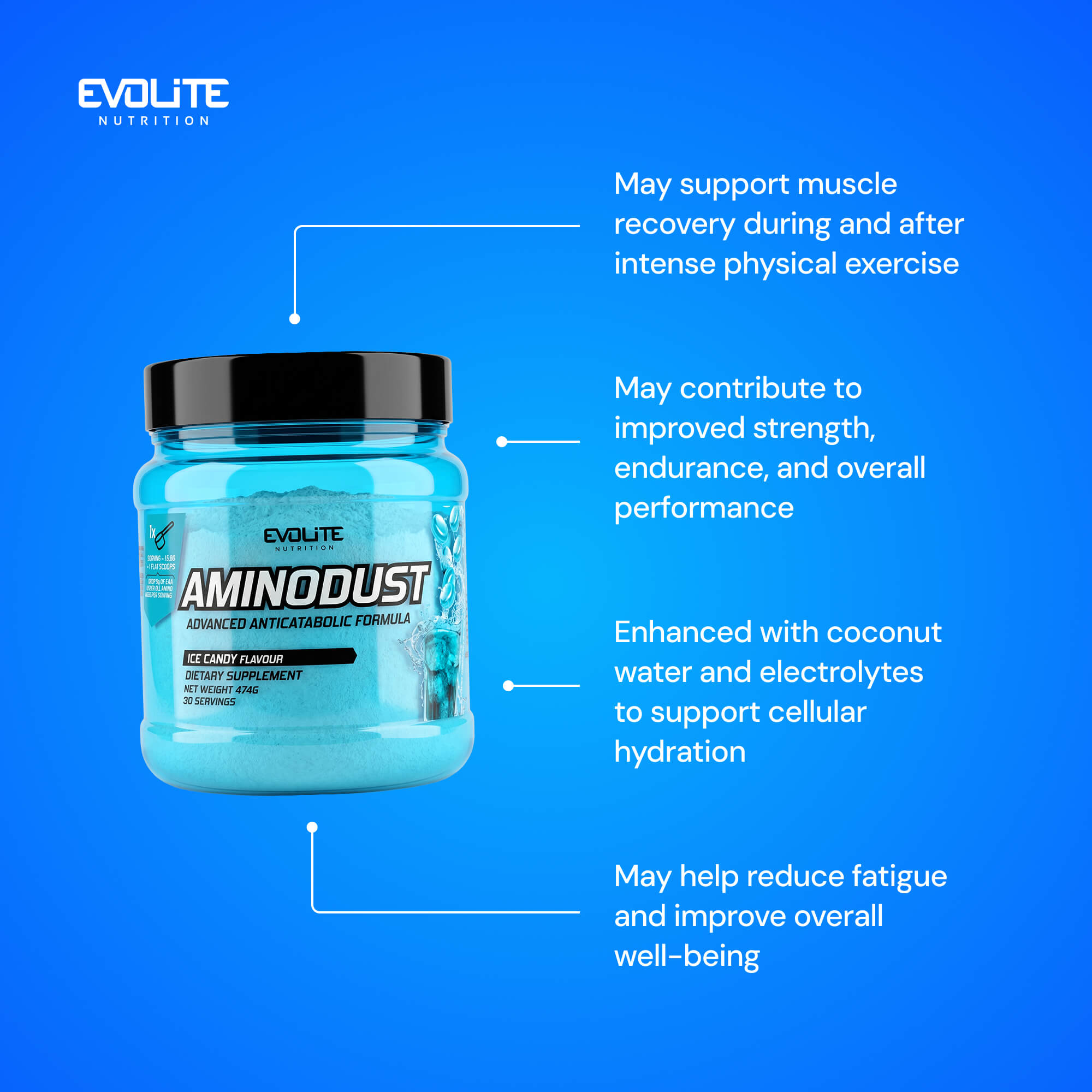 Evolite Nutrition Aminodust 474g