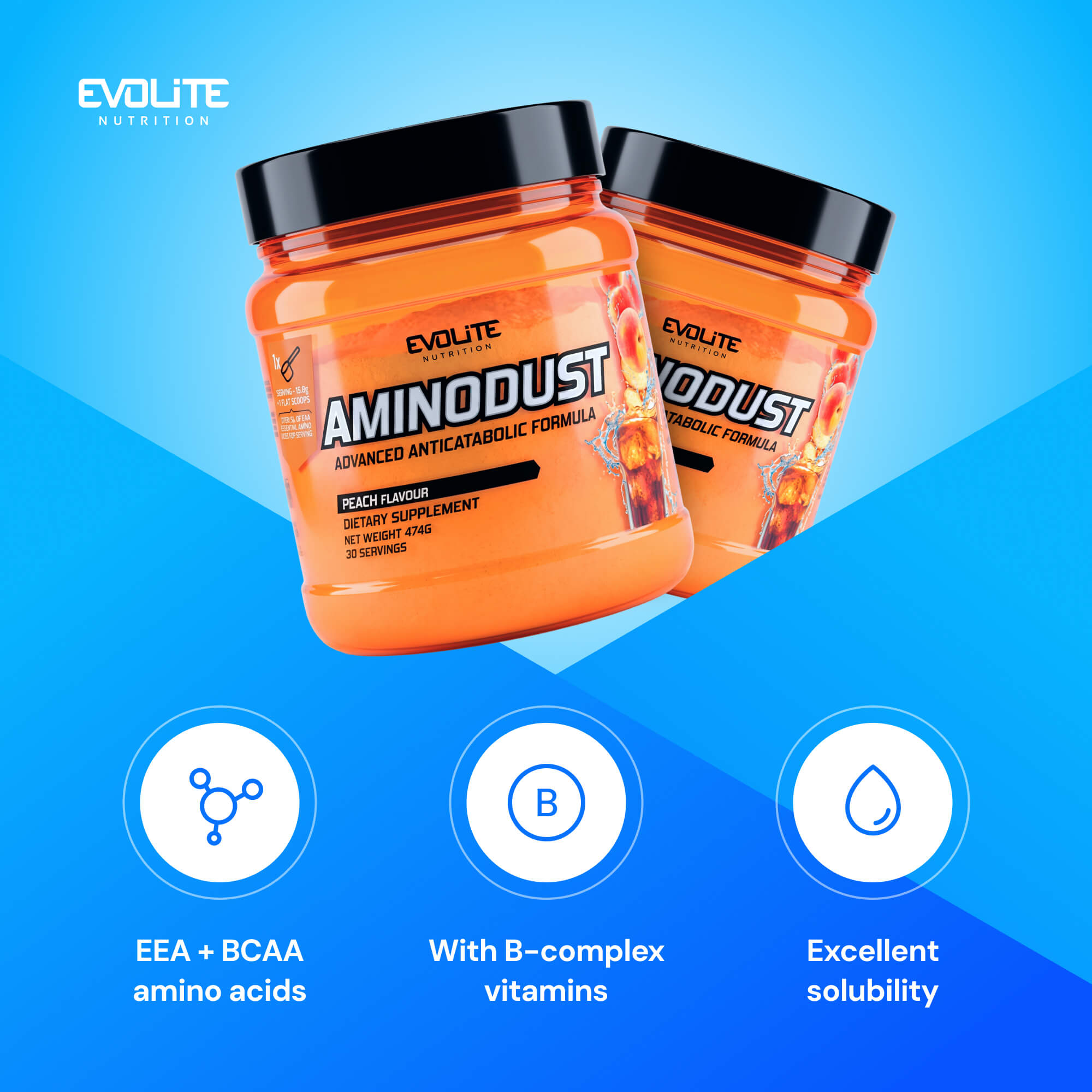 Evolite Nutrition Aminodust 474g