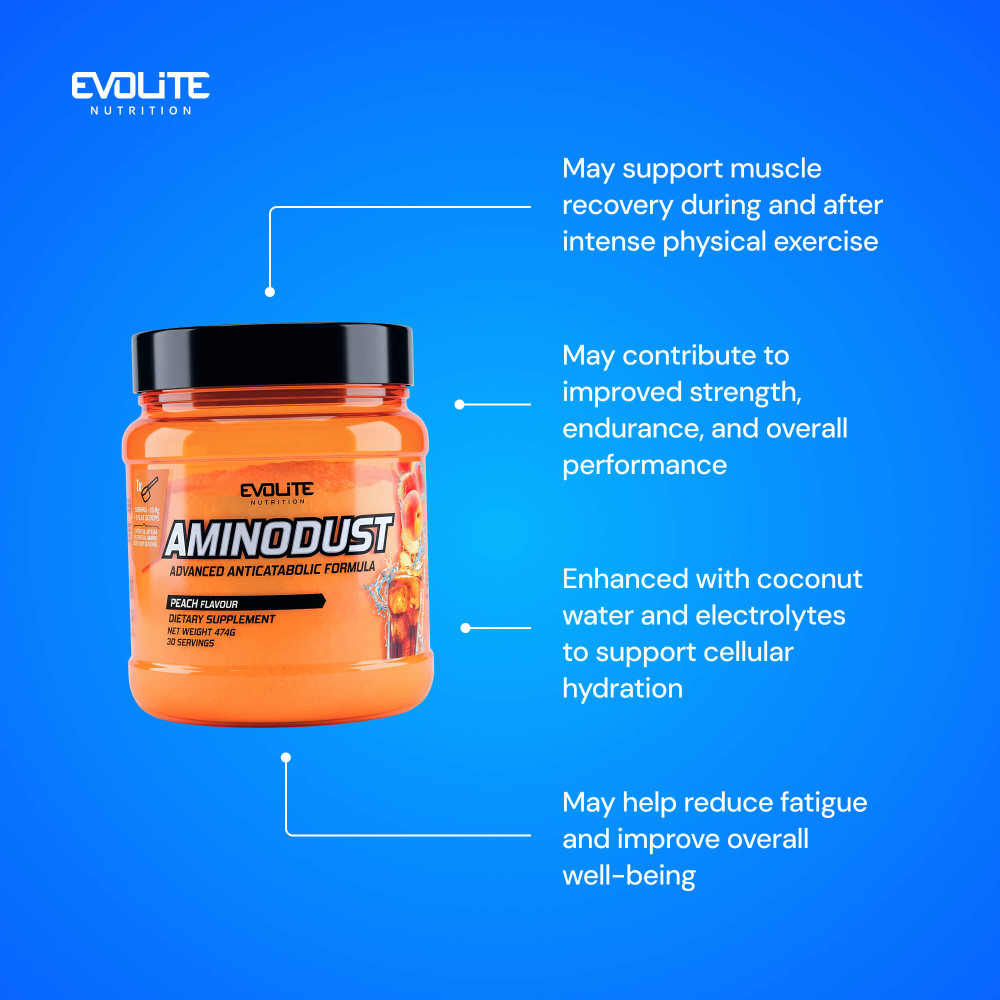 Evolite Nutrition Aminodust 474g