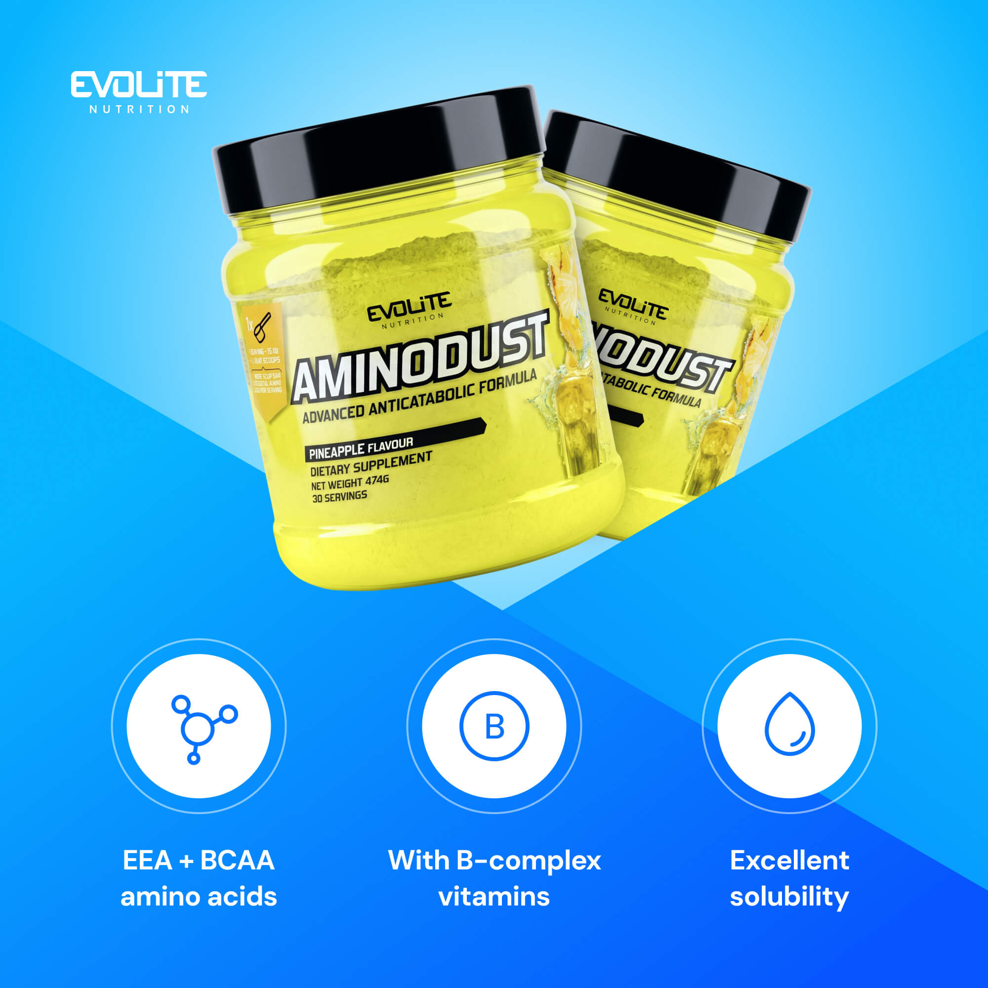 Evolite Nutrition Aminodust 474g