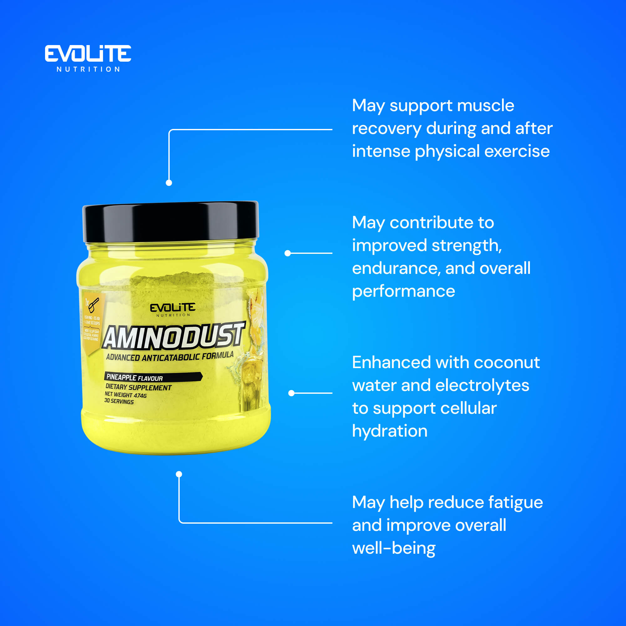 Evolite Nutrition Aminodust 474g