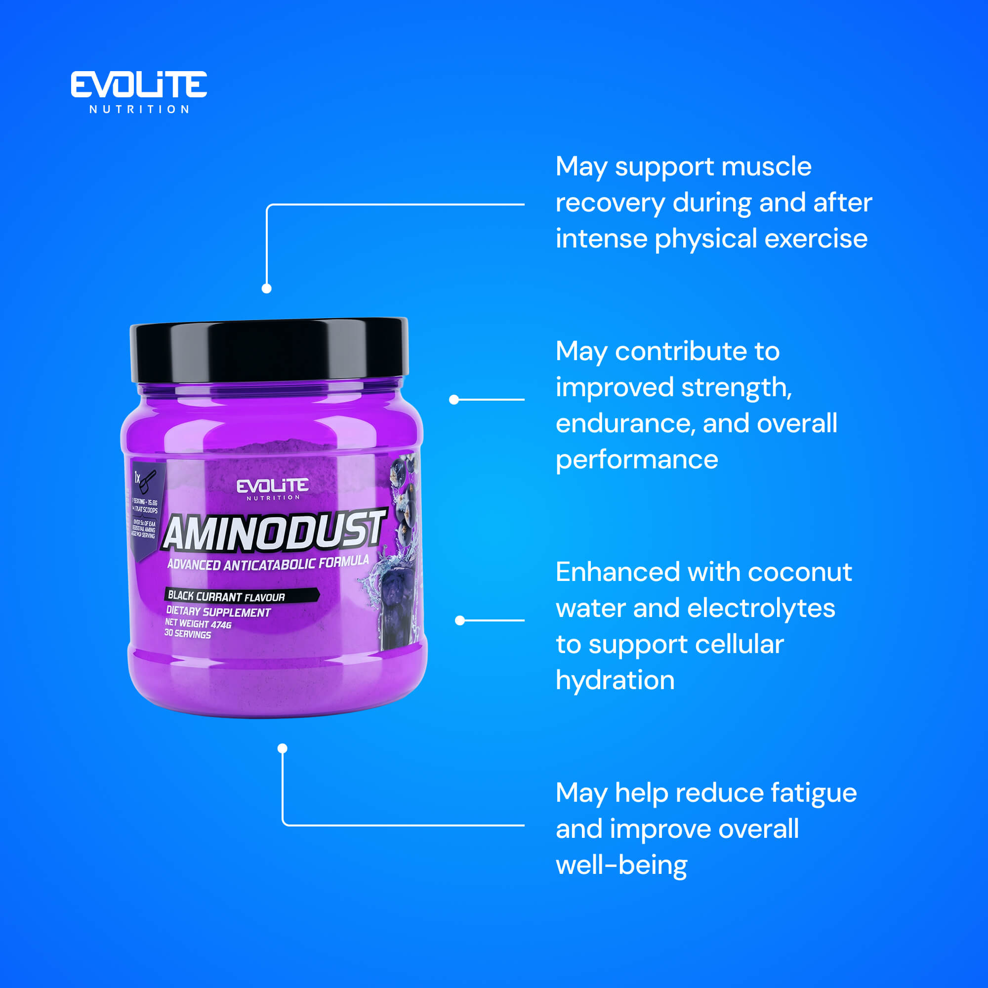 Evolite Nutrition Aminodust 474g