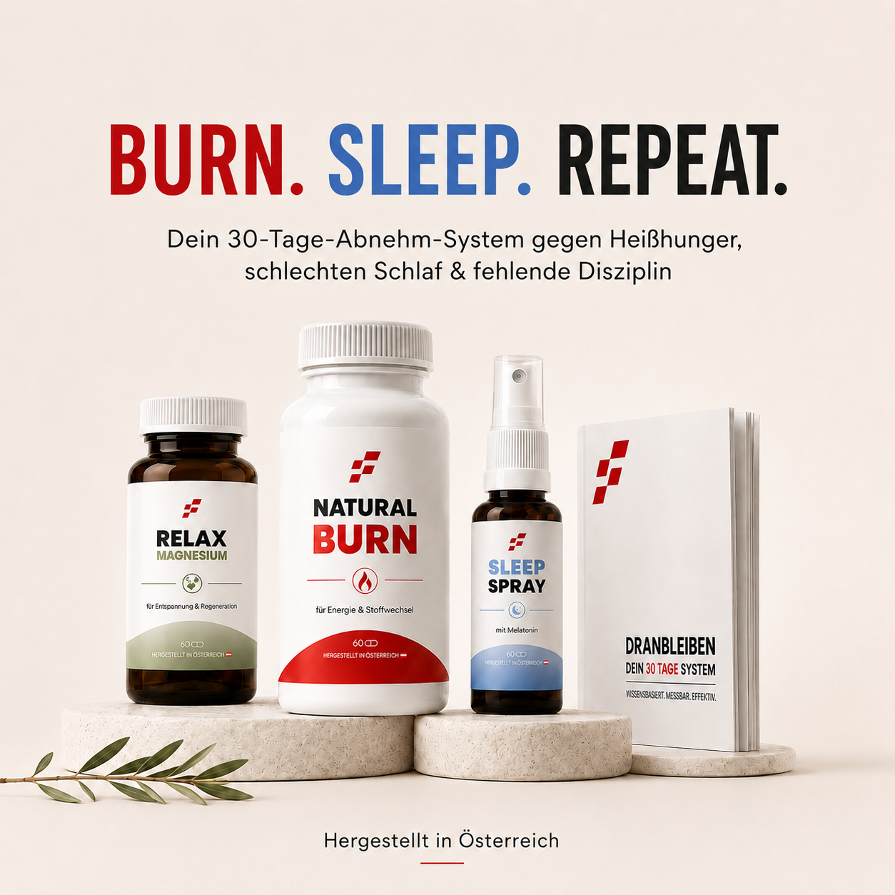Burn Sleep Repeat